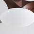 Jettry Ceiling Fan Light