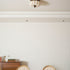 Kateo Ceiling Light