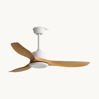 Keazile Ceiling Fan Light
