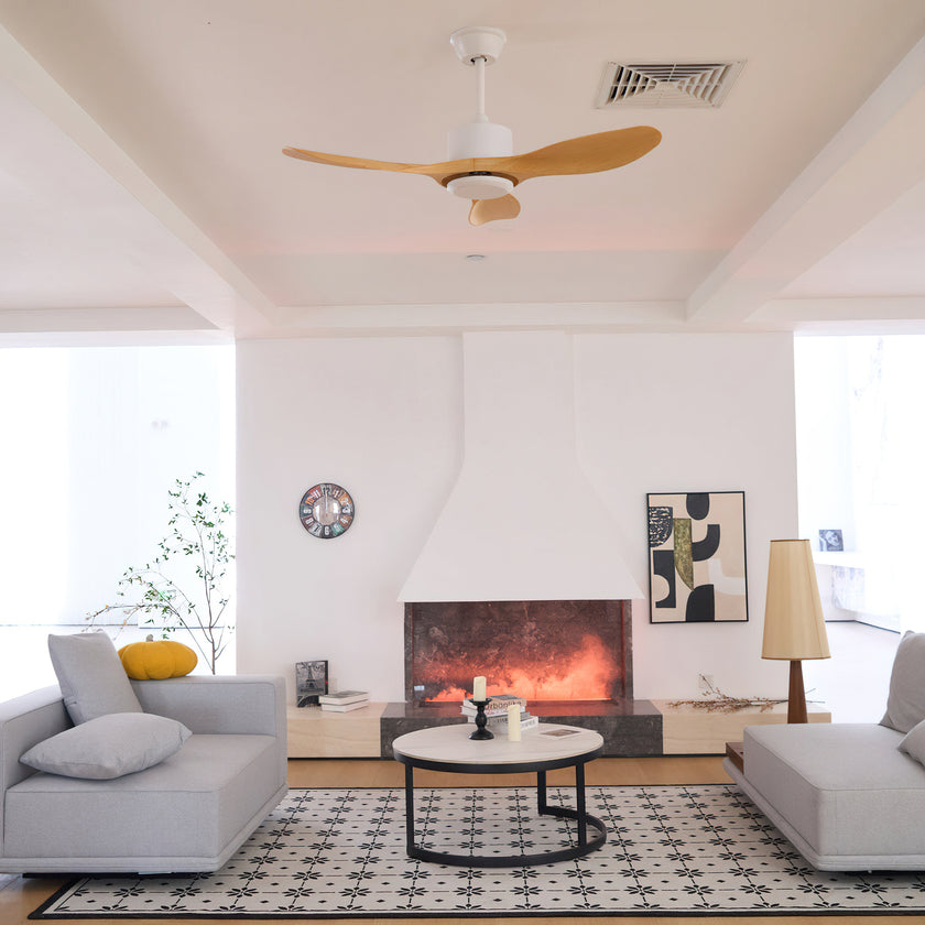 Keazile Ceiling Fan Light
