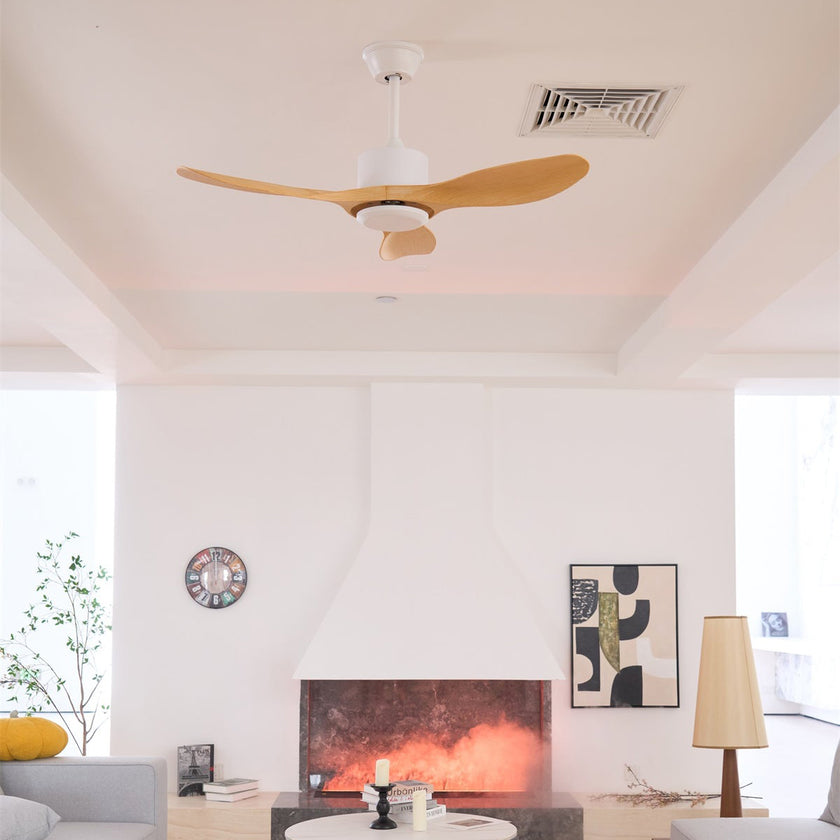Keazile Ceiling Fan Light