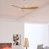 Keazile Ceiling Fan Light