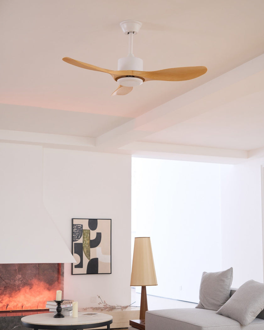Keazile Ceiling Fan Light