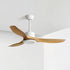 Keazile Ceiling Fan Light