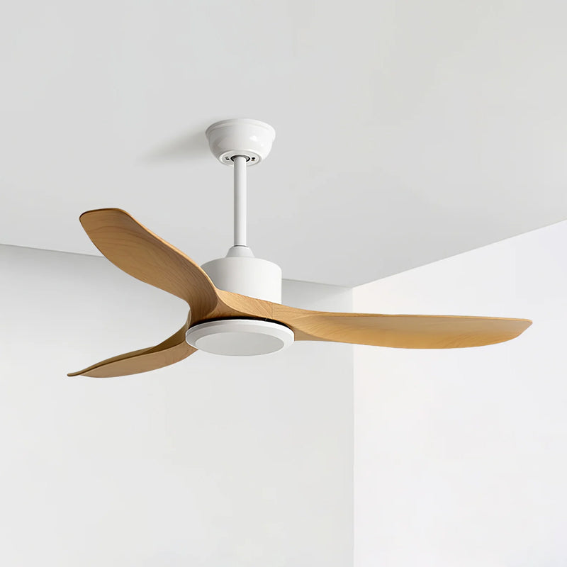 Keazile Ceiling Fan Light