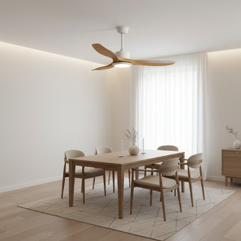 Keazile Ceiling Fan Light