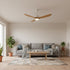 Keazile Ceiling Fan Light