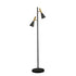 Lron Mouth Floor Lamp