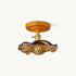 Lucira Ceiling Light