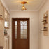 Lucira Ceiling Light