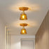 Lucira Ceiling Light