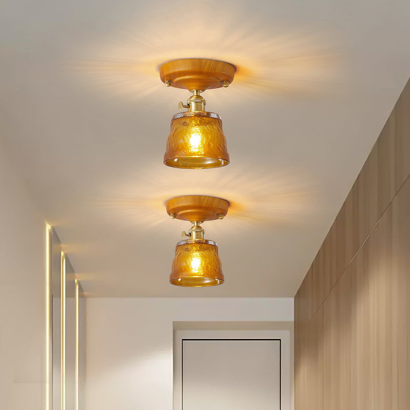 Lucira Ceiling Light