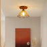 Lucira Ceiling Light