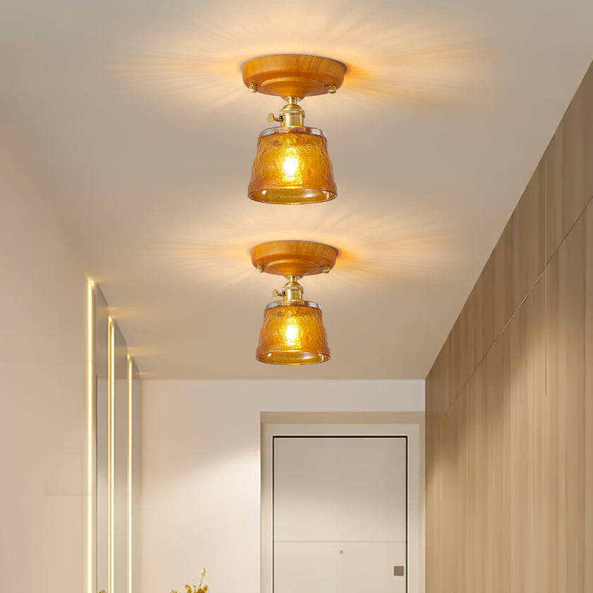 Lucira Ceiling Light