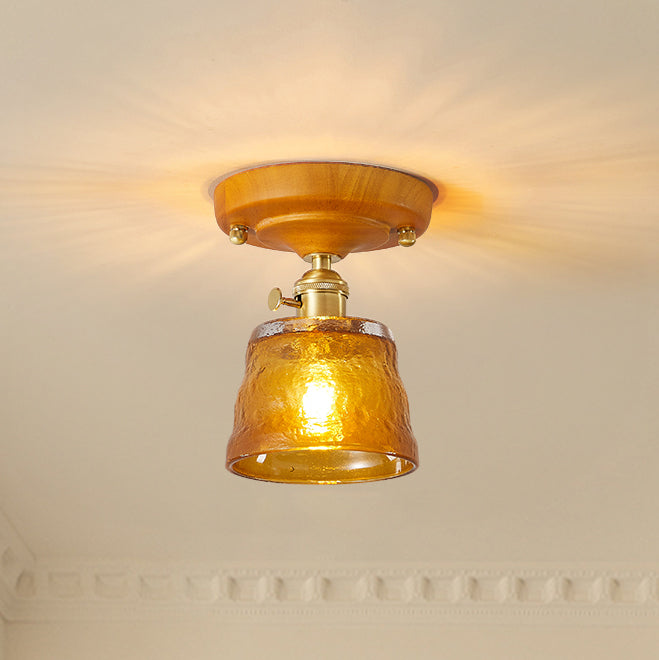 Lucira Ceiling Light