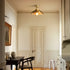 Maeve Ceiling Light