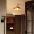 Maeve Ceiling Light