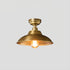 Maeve Ceiling Light