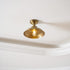 Maeve Ceiling Light