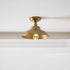 Maeve Ceiling Light