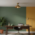 Maeve Ceiling Light