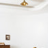 Maeve Ceiling Light