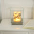 Maillard Table Lamp