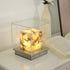 Maillard Table Lamp