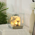 Maillard Table Lamp