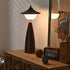 Maoy Table Lamp