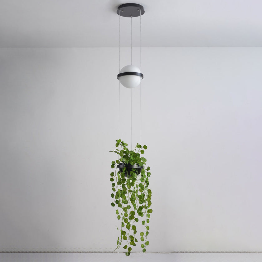 Meira Pendant Light