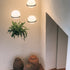 Meira Pendant Light