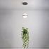 Meira Pendant Light