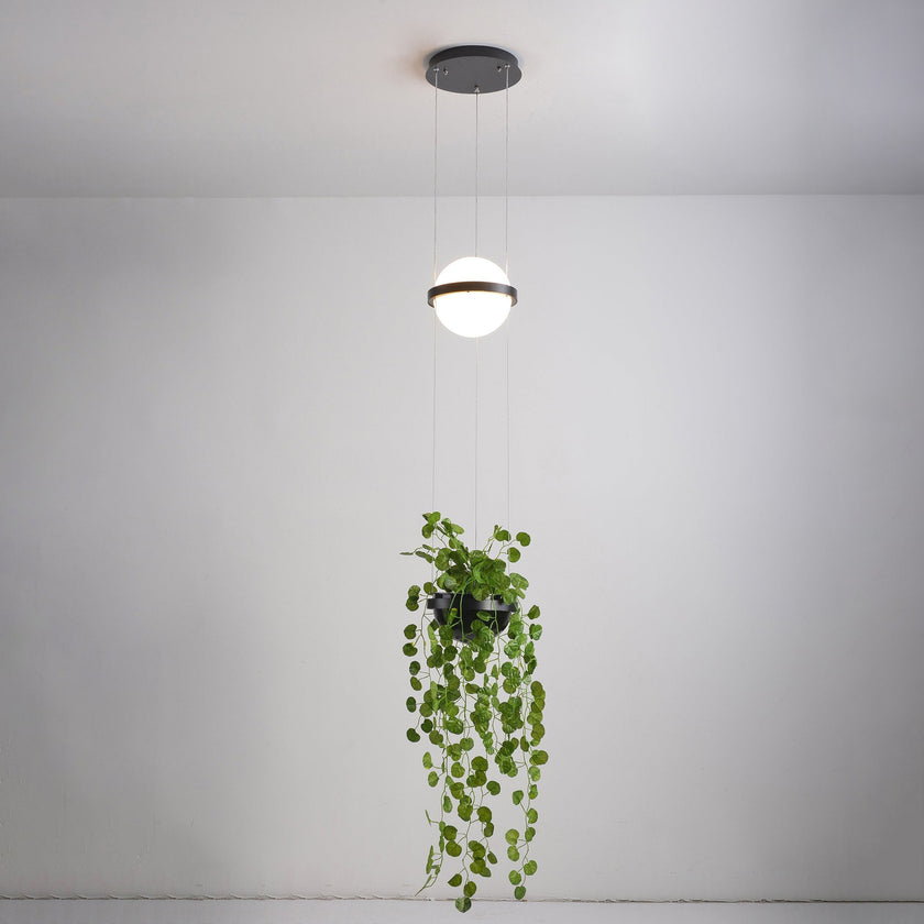 Meira Pendant Light