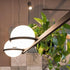 Meira Pendant Light