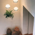 Meira Pendant Light