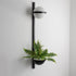 Meira Wall Light