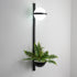 Meira Wall Light