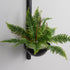 Meira Wall Light