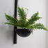 Meira Wall Light
