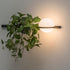 Meira Wall Light