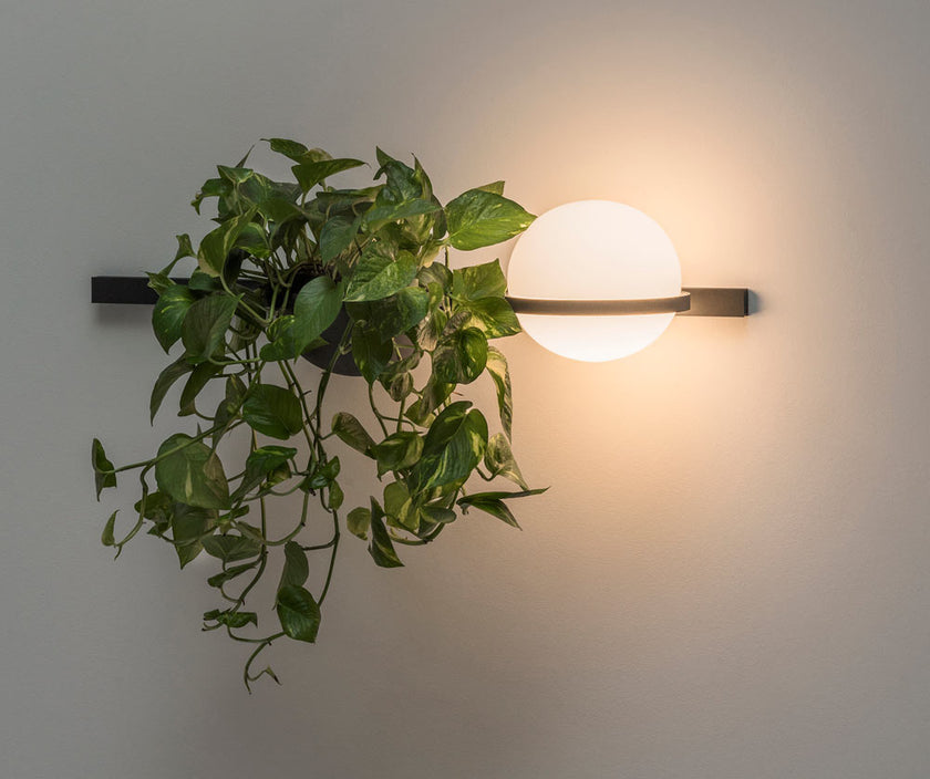 Meira Wall Light