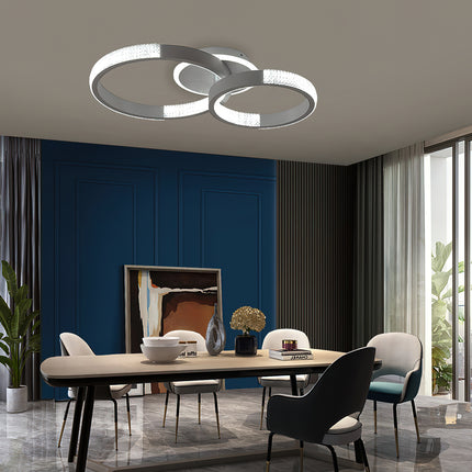 Modern Double Ring Ceiling Lamp