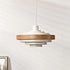 Modern Drum Pendant Light
