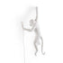 Monkey Wall Lamp