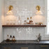 Amelia Alabaster Wall Sconce