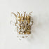 Aqualira Wall Sconce