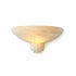 Asteria Wall Sconce