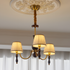 Aurelwyn Chandelier