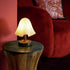 Bellavere Table Lamp